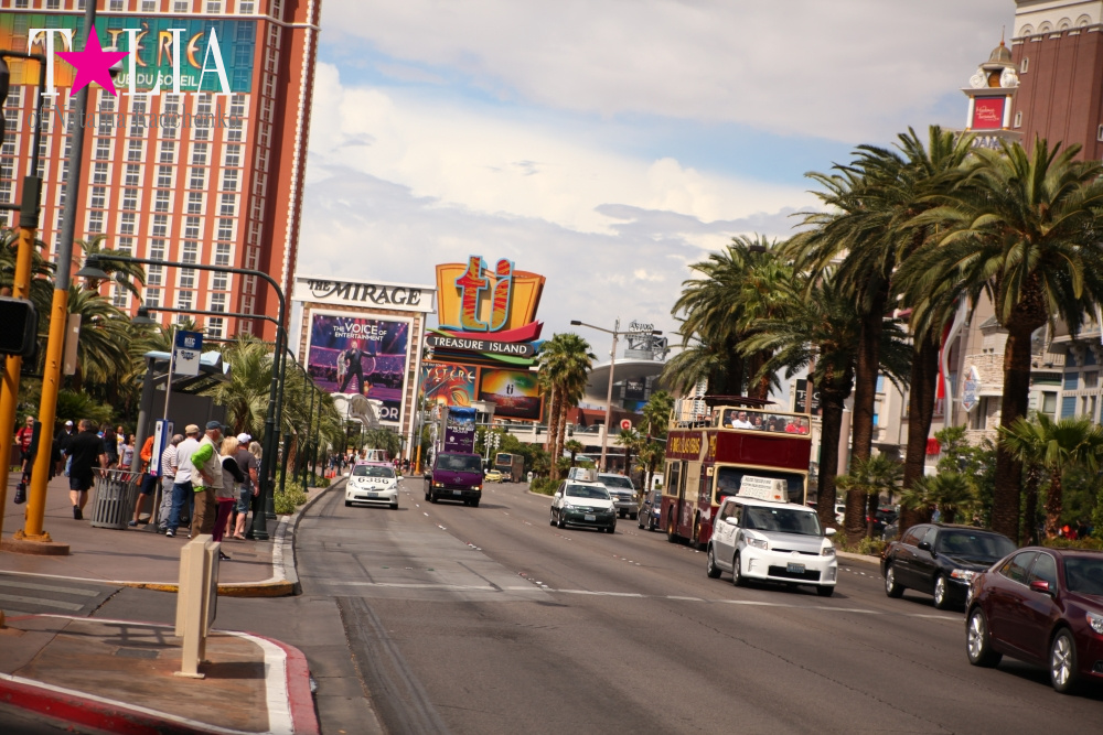 Главная улица Лас Вегаса - Стрип, с самыми дорогимы отелями в мире